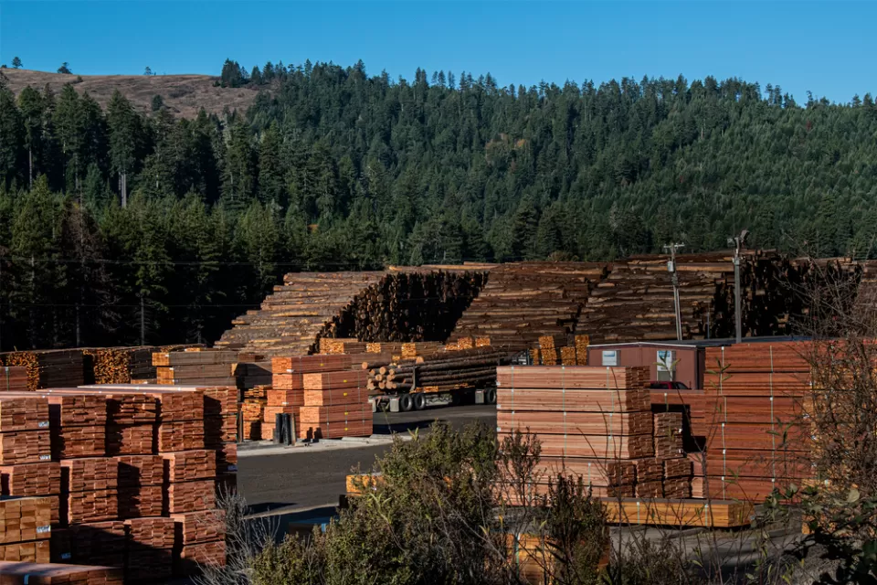 Construction Industry